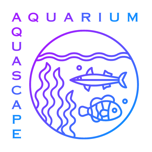 Aquarium Aquascape