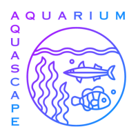 (c) Aquariumaquascape.com